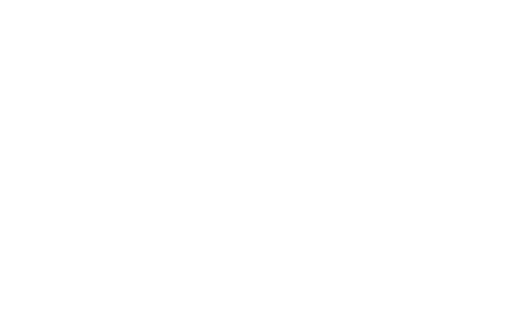 bruegel_wit
